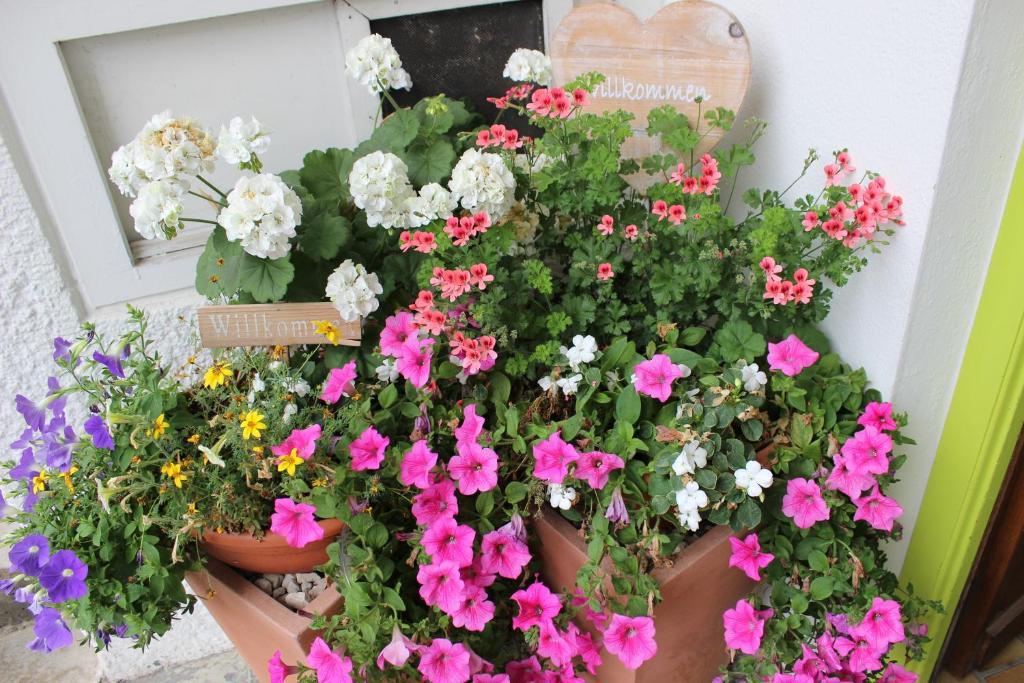 Outdoor Zentrum Allgaeu- Hostel Bihlerdorf エクステリア 写真